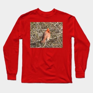 Northern Cardinal, wild birds, wildlife gifts Long Sleeve T-Shirt